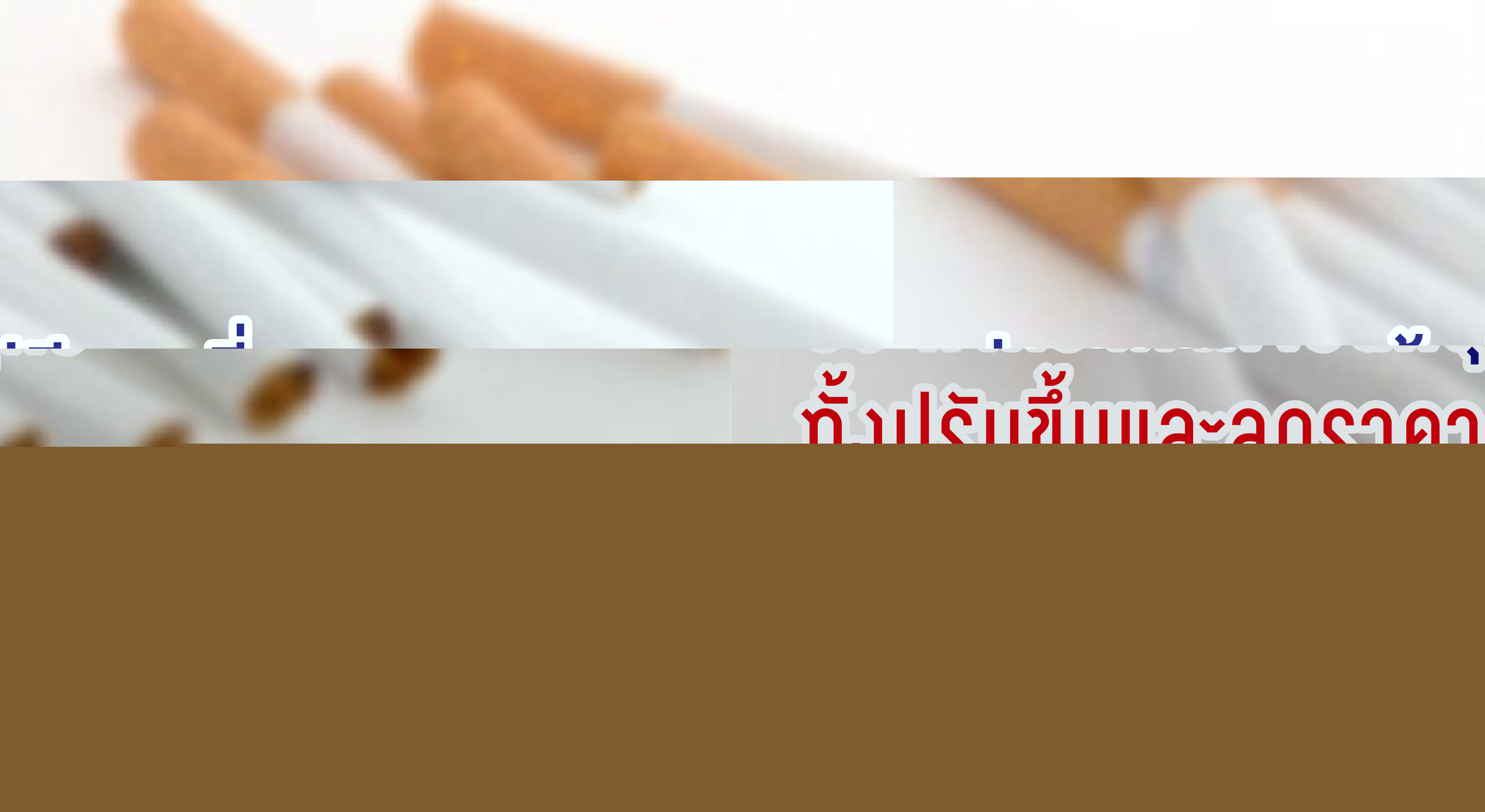 ปก1-01