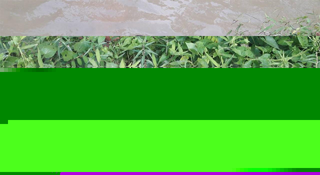 ปลัดหนุ่ม