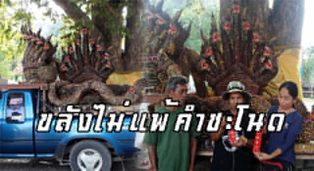 พระทอง