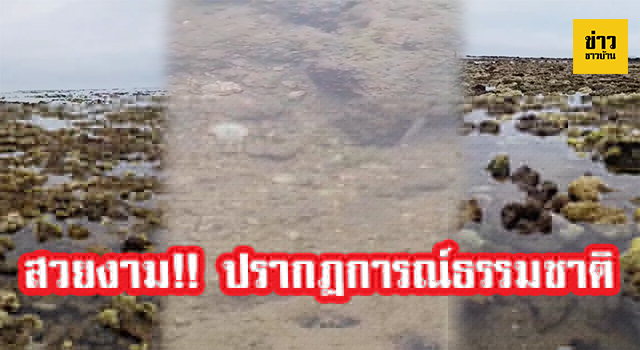 น้ำลด