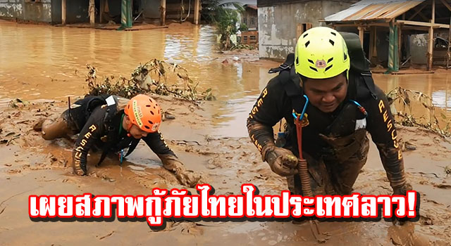 ปก