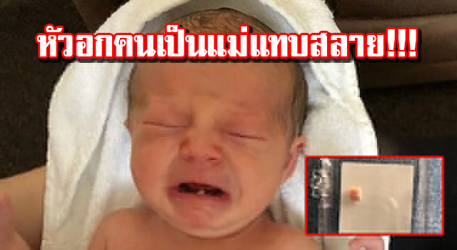 ปก