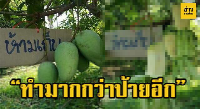 หน้าปกชาวบ้าน