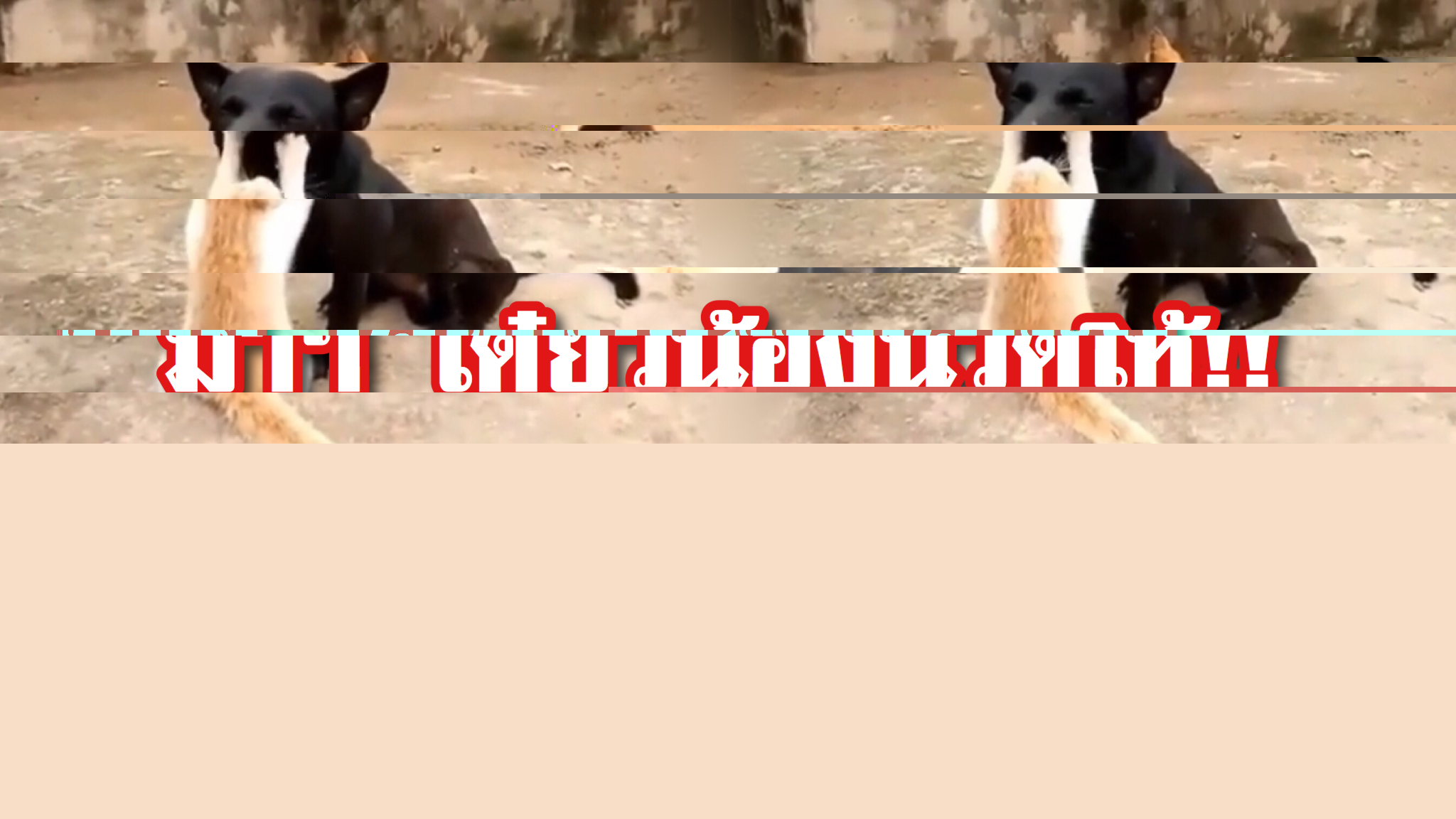 3BFF9CFA-4737-4004-87B8-BB729971293E