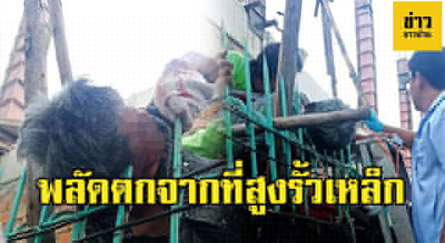ปก