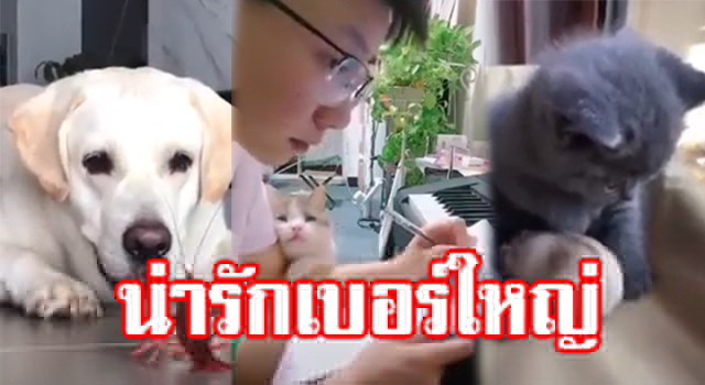 เดกะำพัำพัำไ