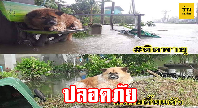 หน้าปกชาวบ้าน