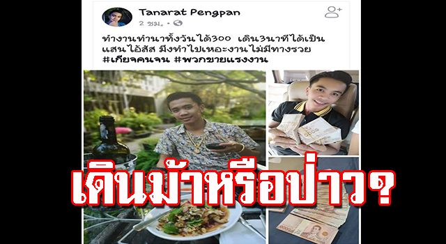 เดินม้า