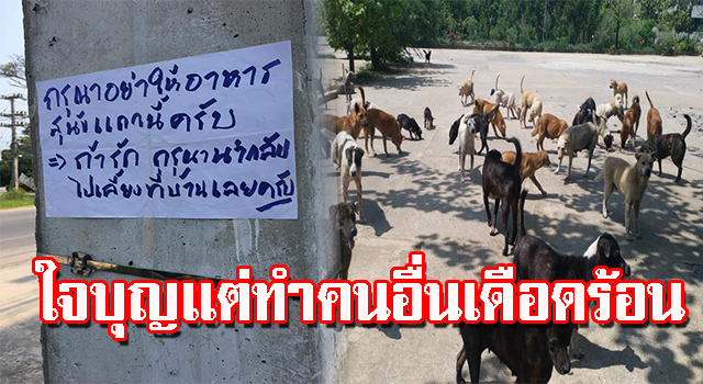 ใจบุญ