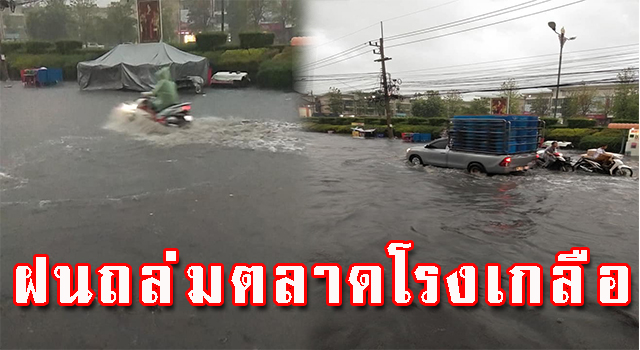ตลาด