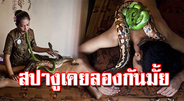 สปางู