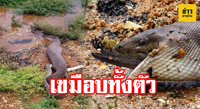 หน้าปกข่าวชาวบ้าน