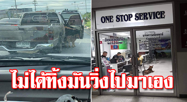 ไม่ได้ทิ้ง