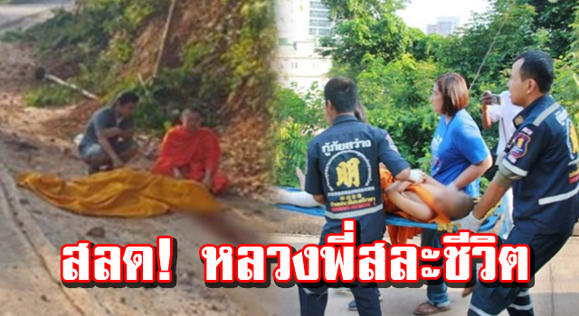 ปก