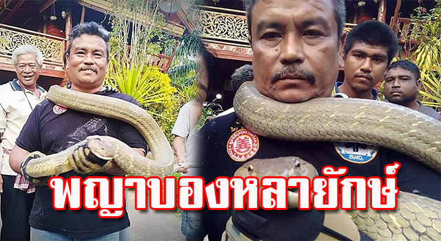 บองหลา