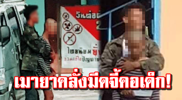 ปก