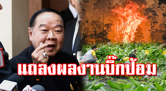 บิ๊กป้อม