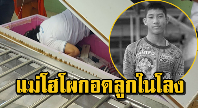 ปก