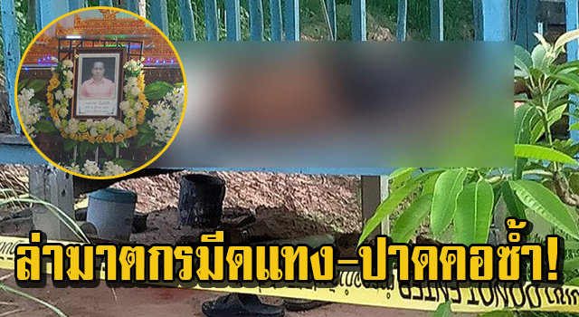 ปก