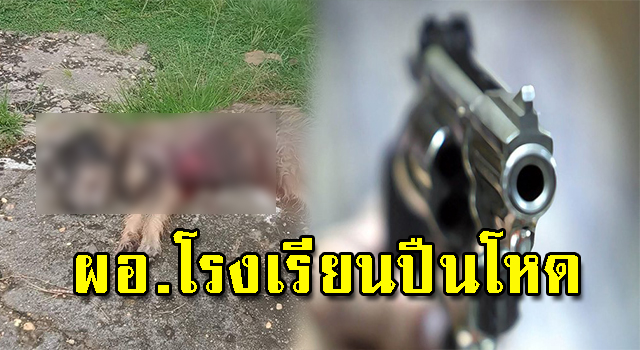 ปืนโหด