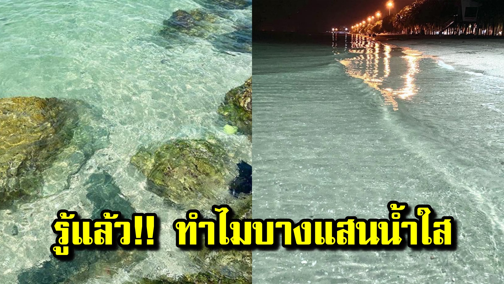 ปก บางแสน
