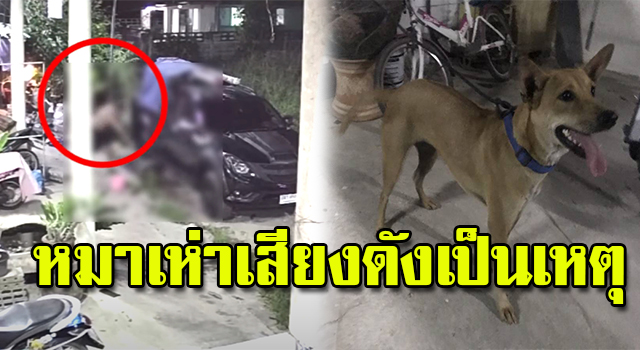หมาเห่า