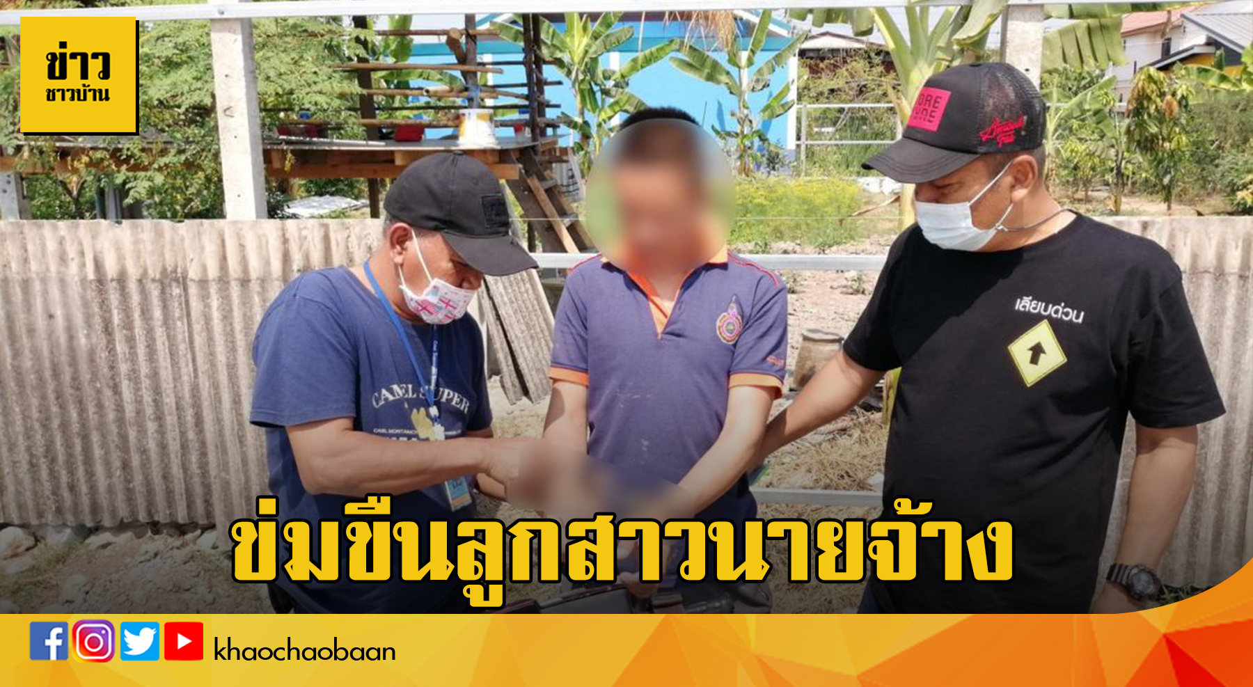 11ปี