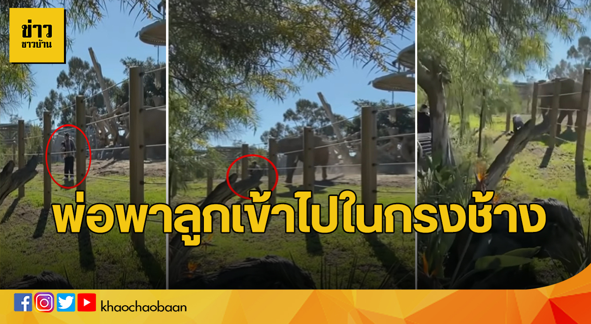 กรงช้าง