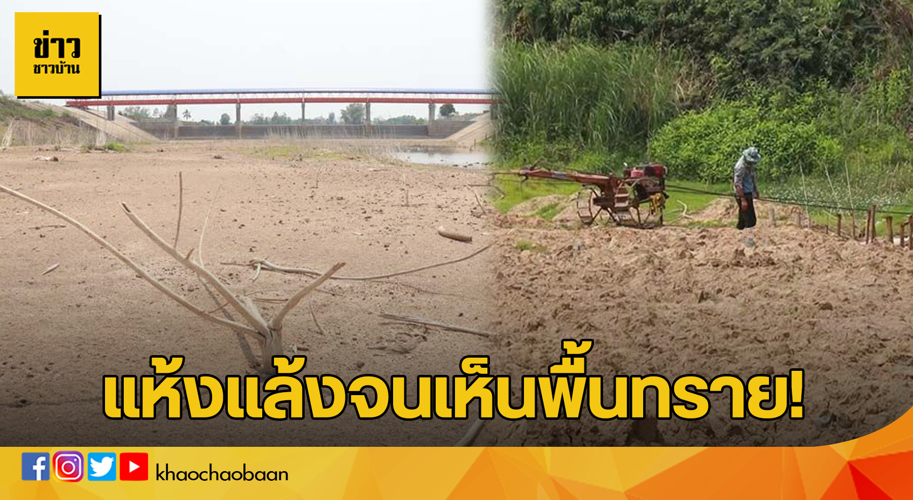 ปกแล้ง
