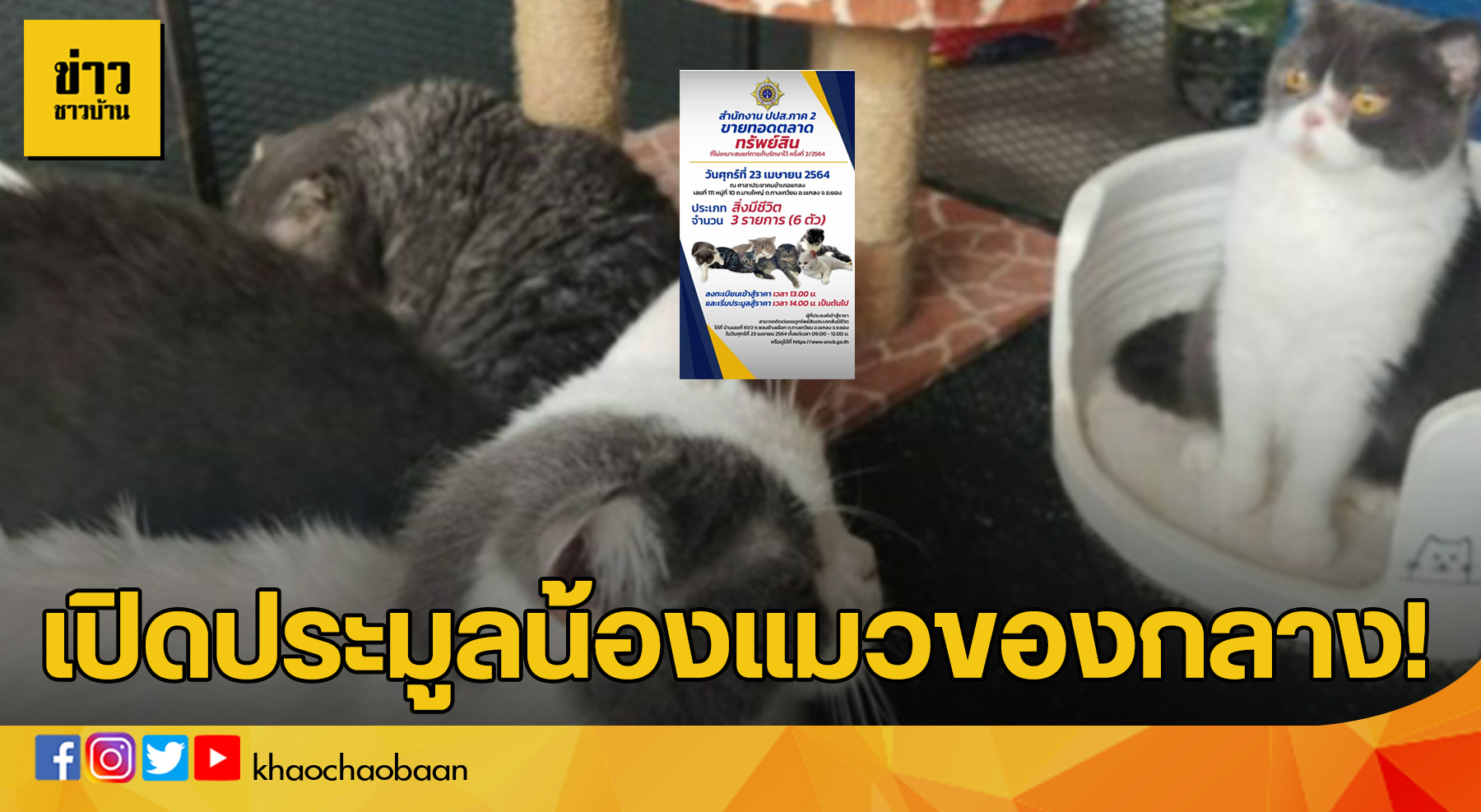 template ข่าวชาวบ้าน-Recovered