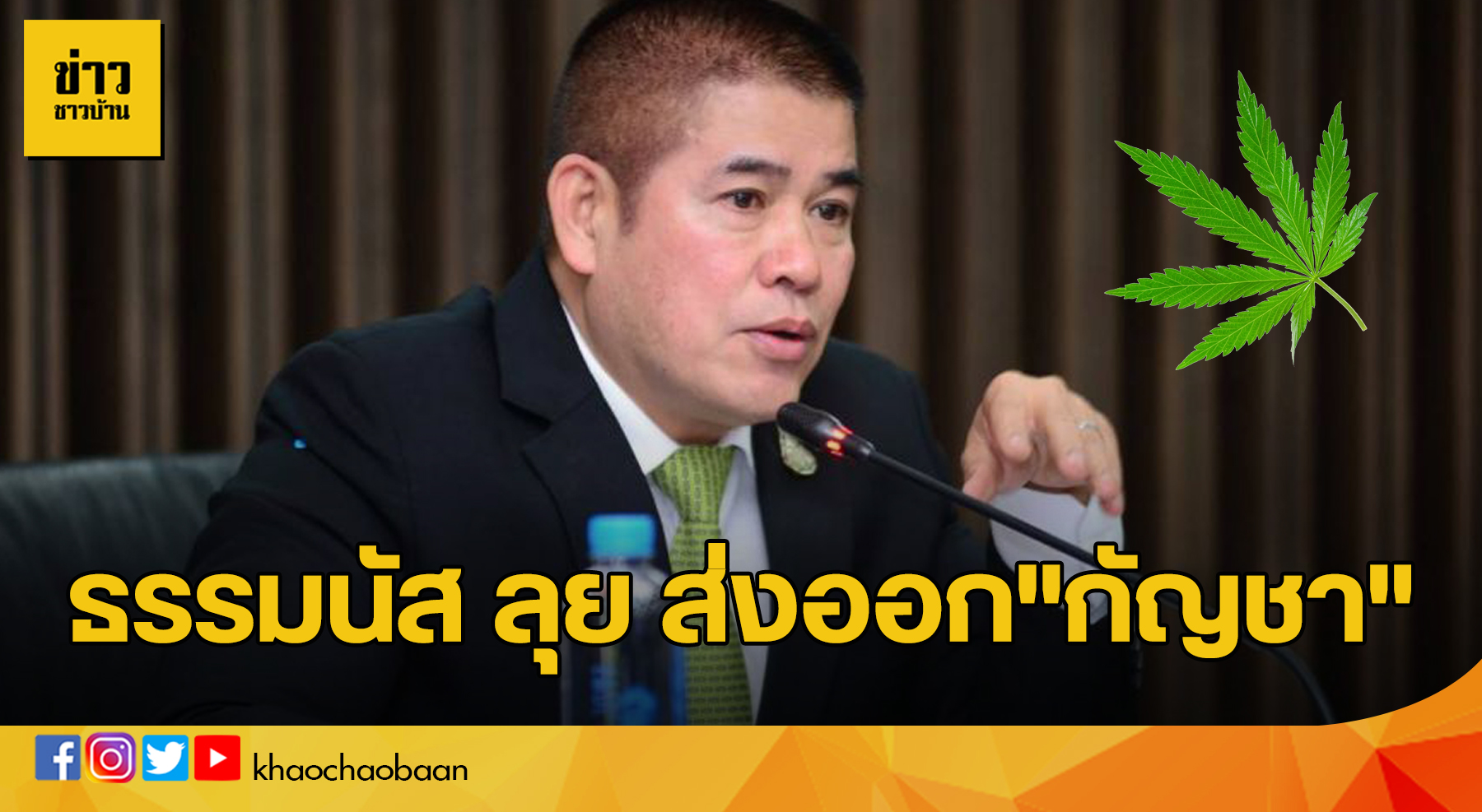 กันชา ปก