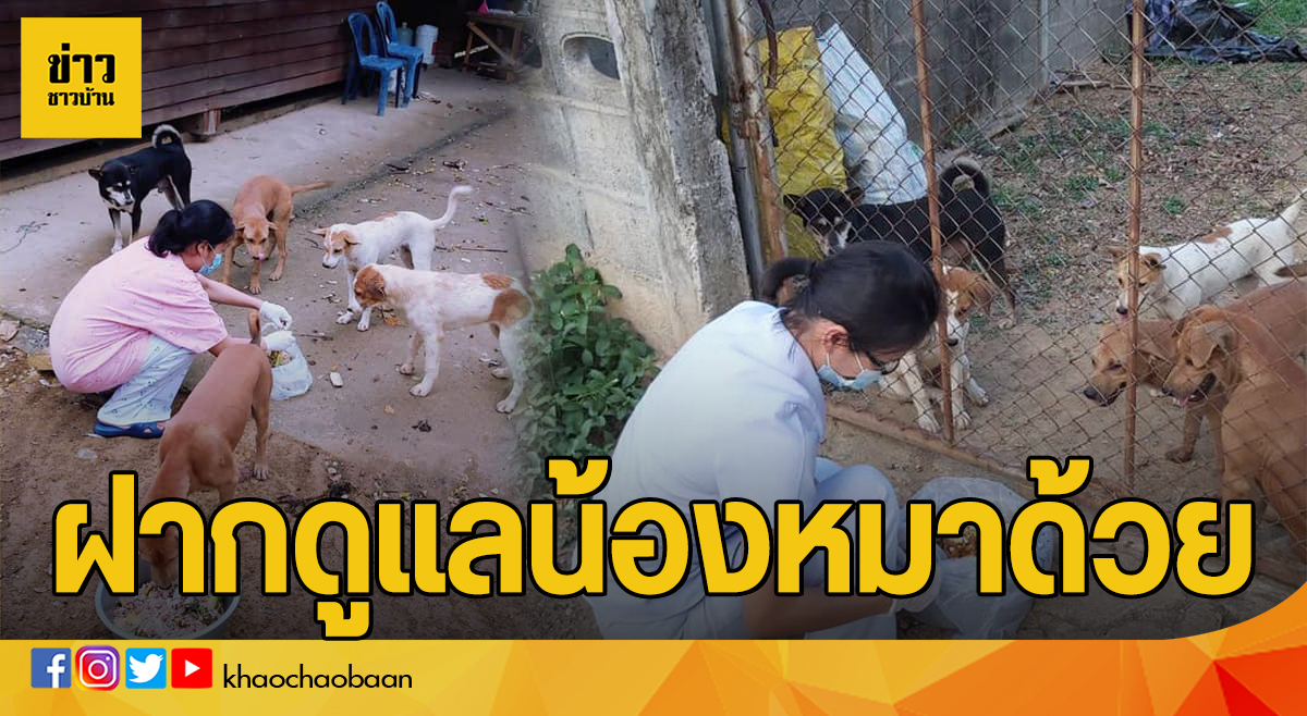 ข่าวชาวบ้าน ฝากดูแลน้องหมาด้วย