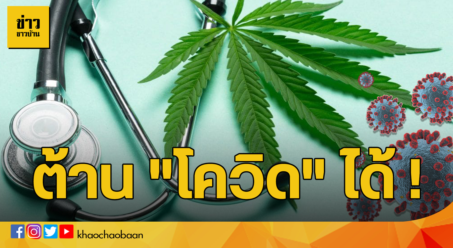 ปกกัญชา