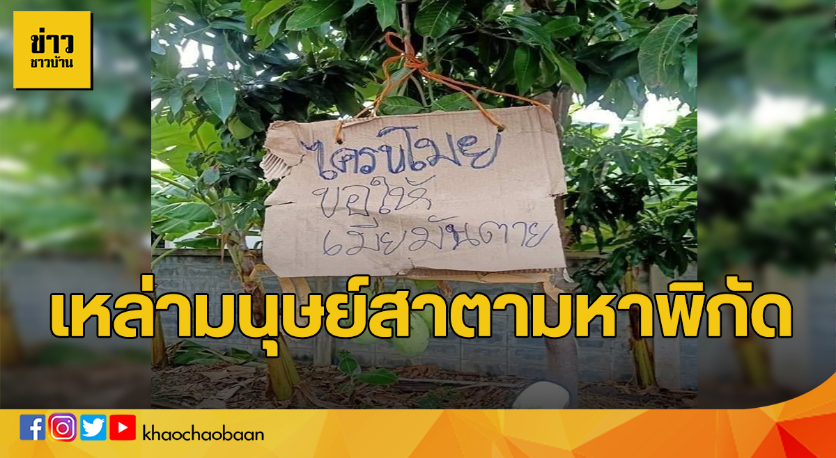 มนุดสา