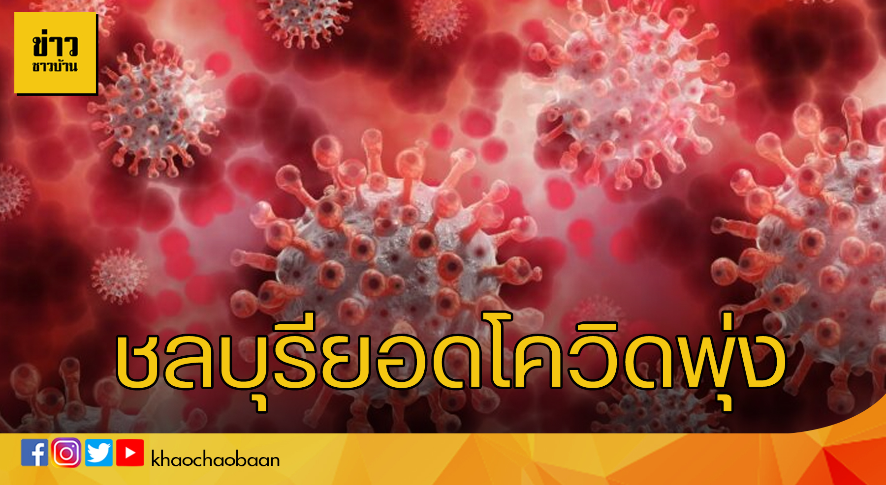 วย