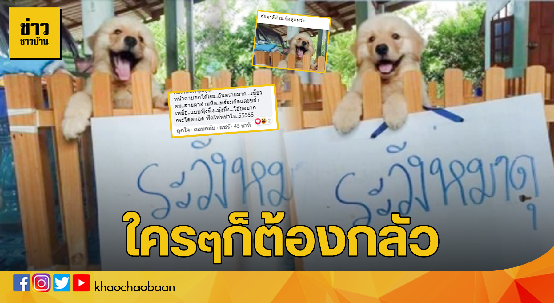 หมาดุ ข่าวชาวบ้าน