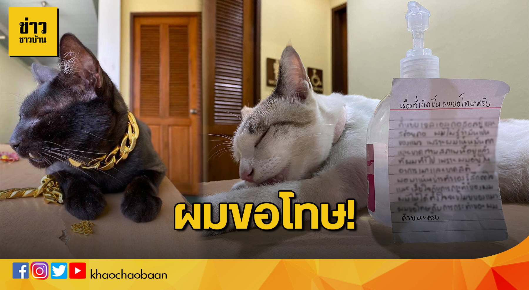 template ข่าวชาวบ้าน copy
