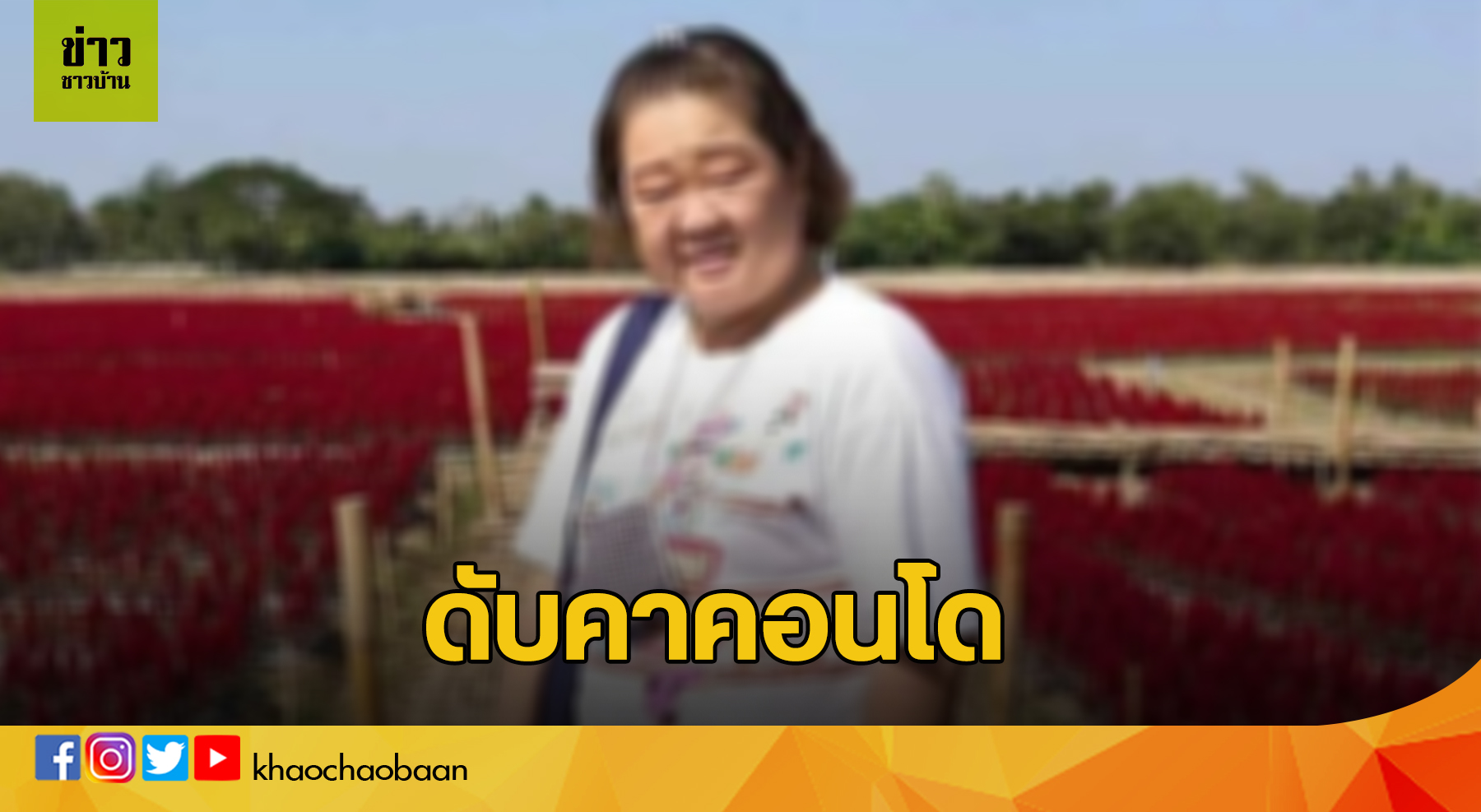 template ข่าวชาวบ้าน1