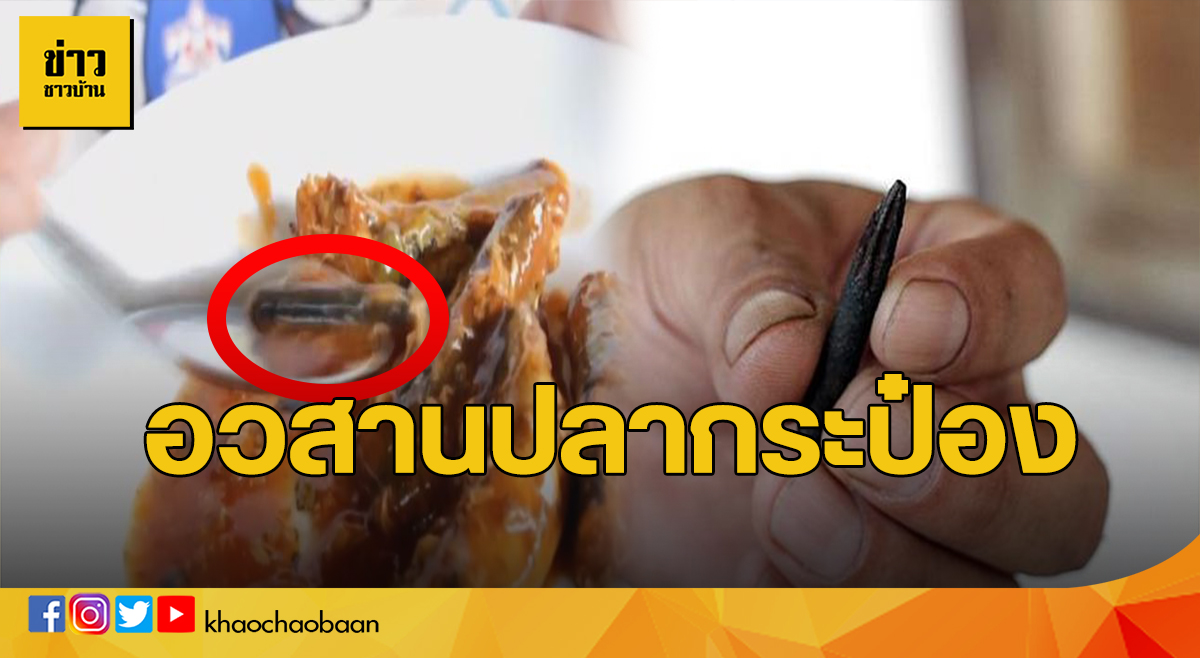 ปลากระป๋อง