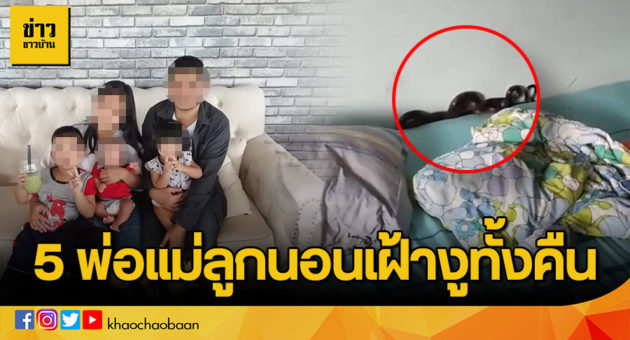 template ข่าวชาวบ้าน copy