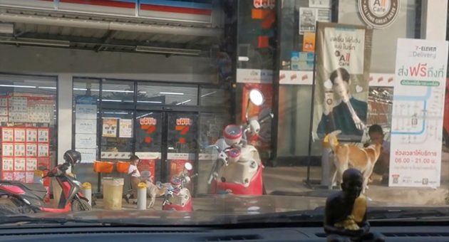 สุนัข